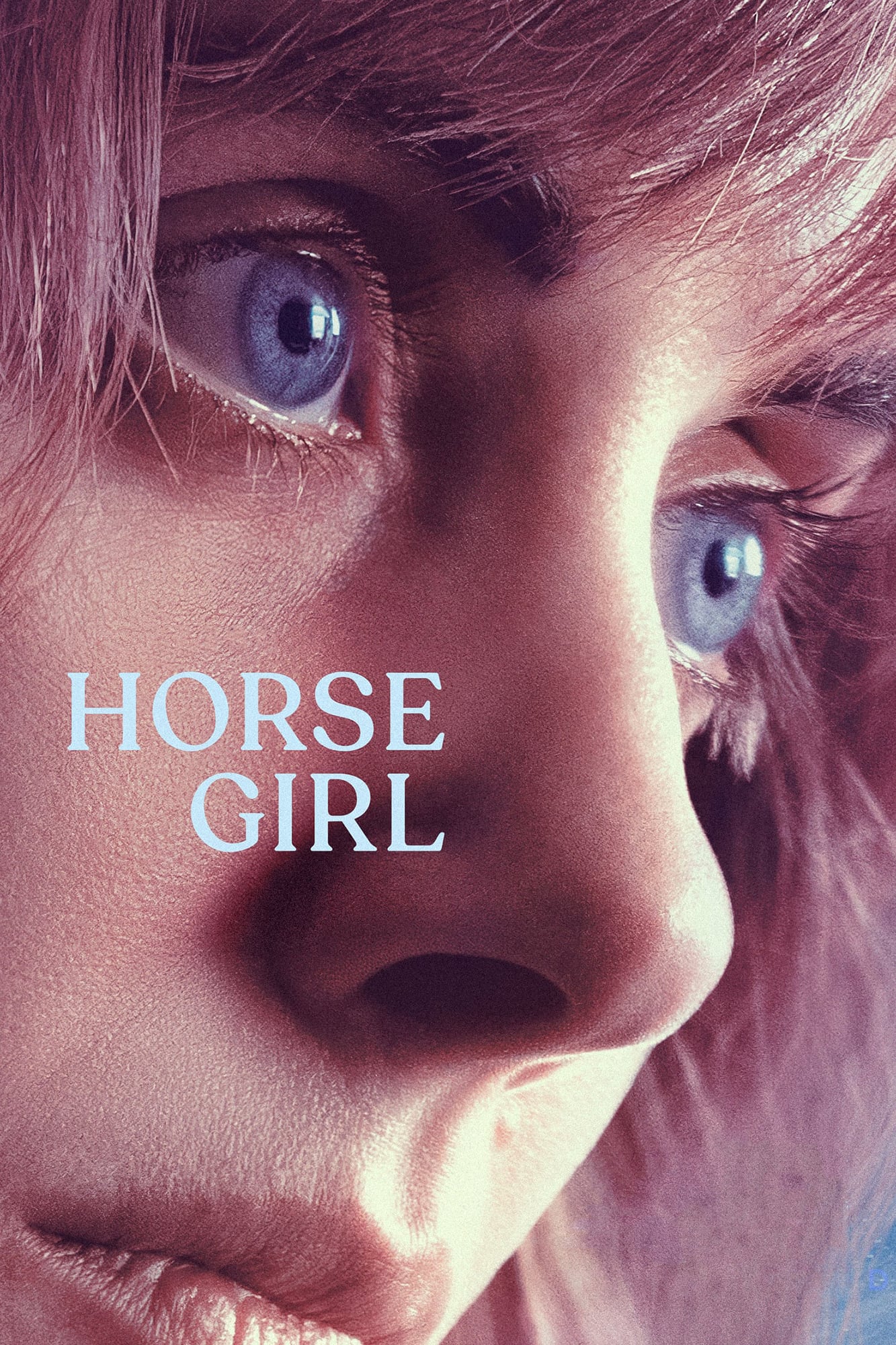 La chica que amaba a los caballos